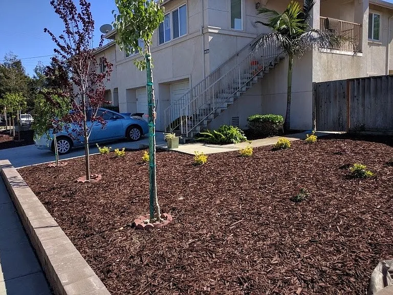 1499 Essex St — Photo 32