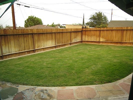 Large Grass Area in Backyard