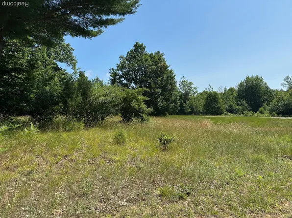 77 E Starlight Ridge Cir, Onekama, MI 49675