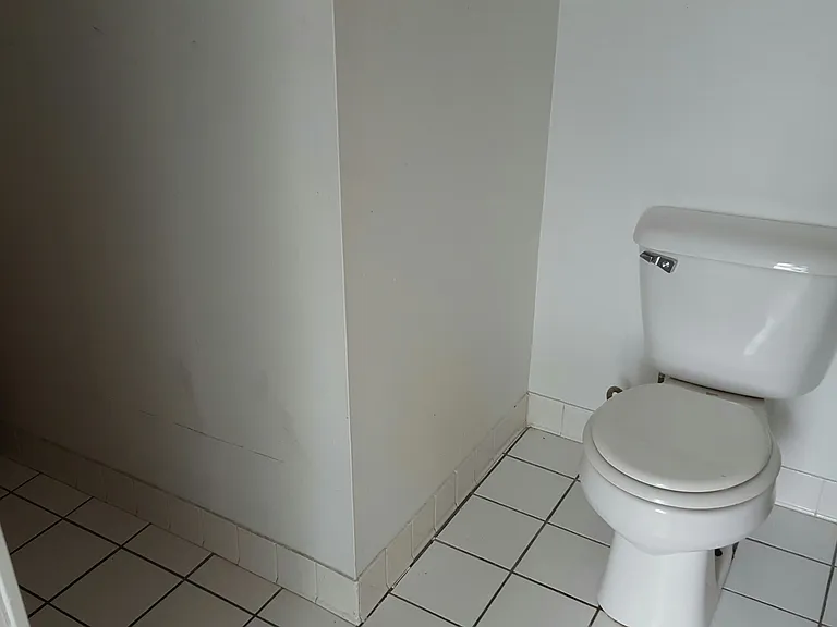 434 Oxford St #5 — Photo 7