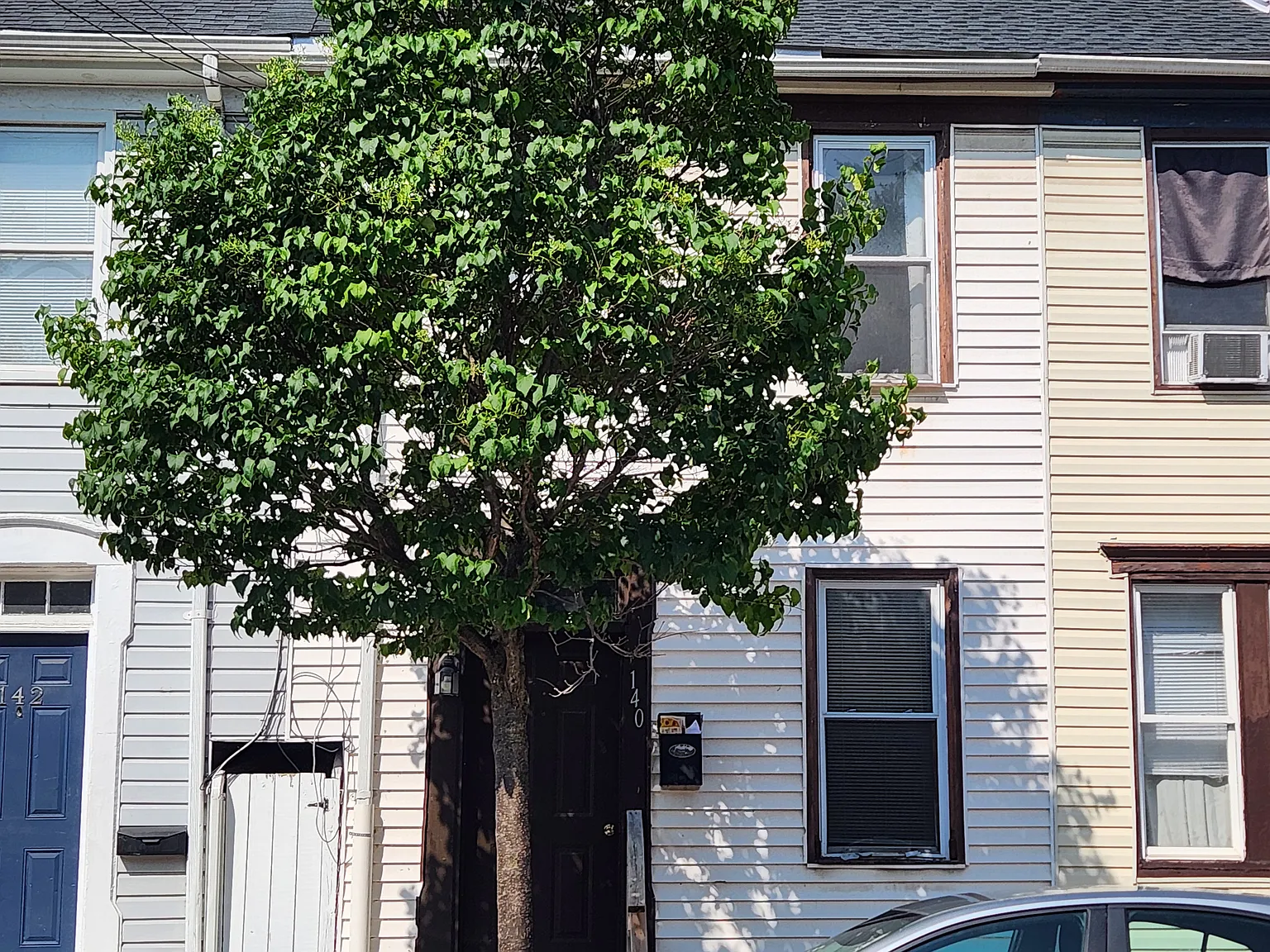 2 bed, 1.5 bath, 1080 sqft, $1,295 — Photo 1