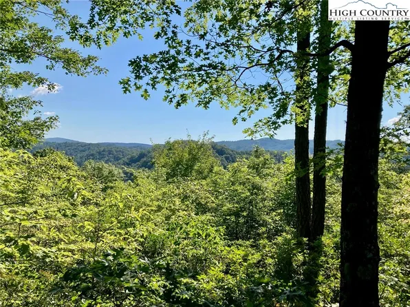 TBD Lady's Mantle Lane, Ferguson, NC 28624