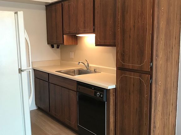 New faucet and garbage disposal