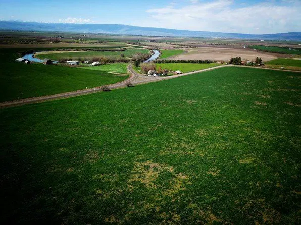 123456 Lower Cove Rd, Cove, OR 97824