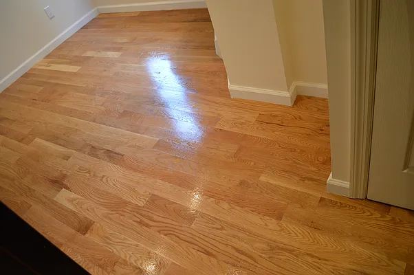 Rented by CoSo Apartments | media 24