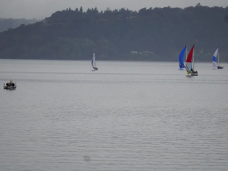 Sailboats in regada during the summer.