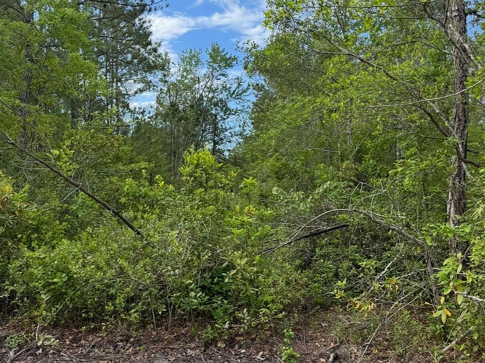 2nd image of 3204 Fowler School Rd.