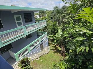 Calle Cristo Redentor 57 Rabanal #Bo, Cidra, PR 00739