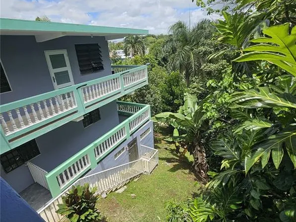 Calle Cristo Redentor 57 Rabanal #Bo, Cidra, PR 00739