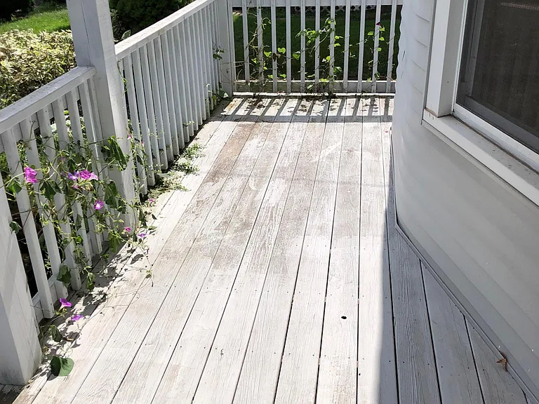36 Clinton St #1 — Photo 5