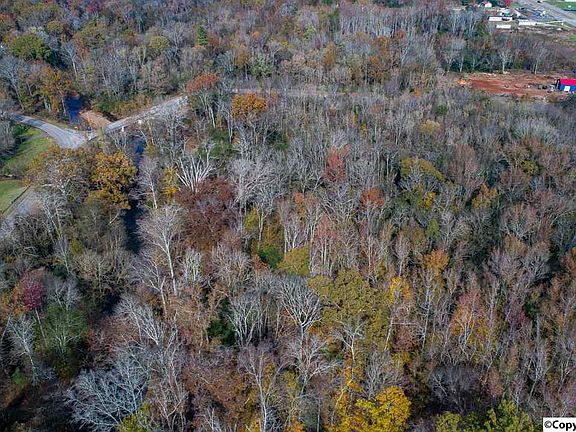 4th image of 15151 State Highway 231/431