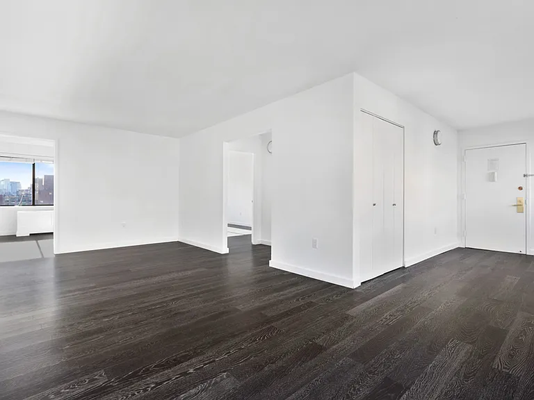 Large living room with wood-like floors