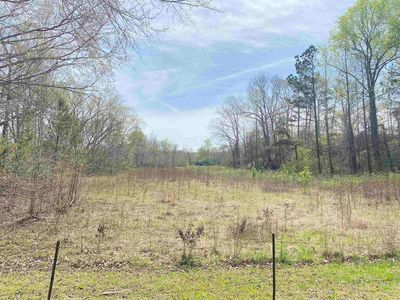 1 Old Morris Chapel Rd, Adamsville, TN, 38310