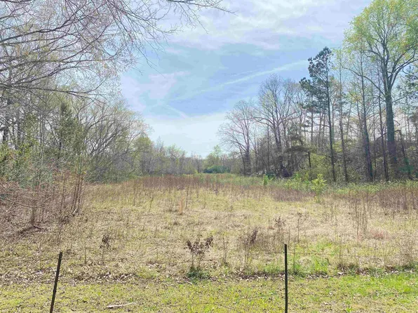 1 Old Morris Chapel Rd, Adamsville, TN 38310