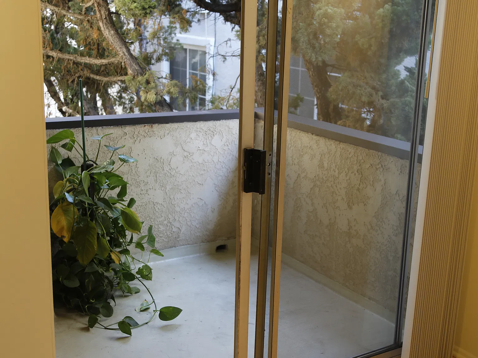 1 bed, 650 sqft, $2,100 — Photo 4