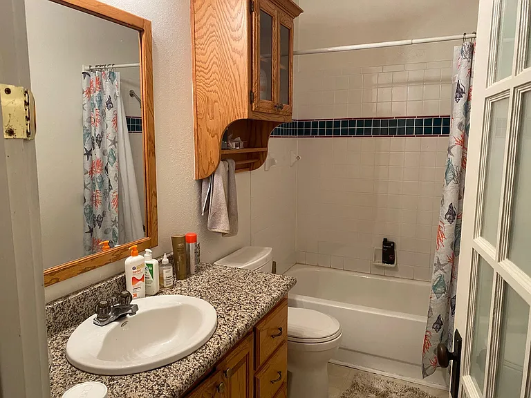 Hall Bathroom - vinyl flooring, 9 ft. ceiling, wood cabinets, mirror, medicine chest, granite countertop, bathtub with shower, tile shower surround.