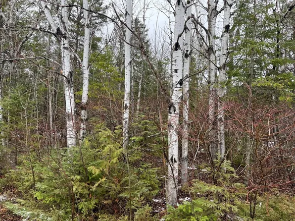 LOT 256 Pineview Dr, Presque Isle, MI 49777