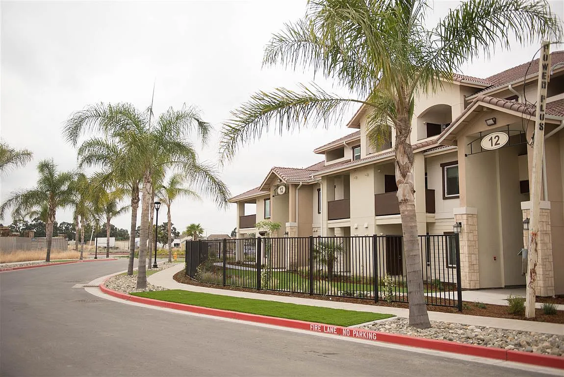 Palms at Morada — Photo 4