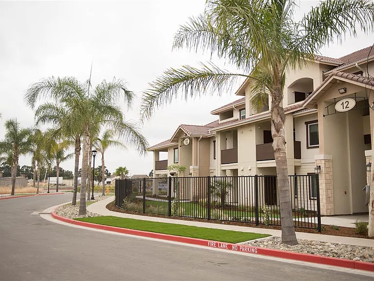 Palms at Morada — Photo 4