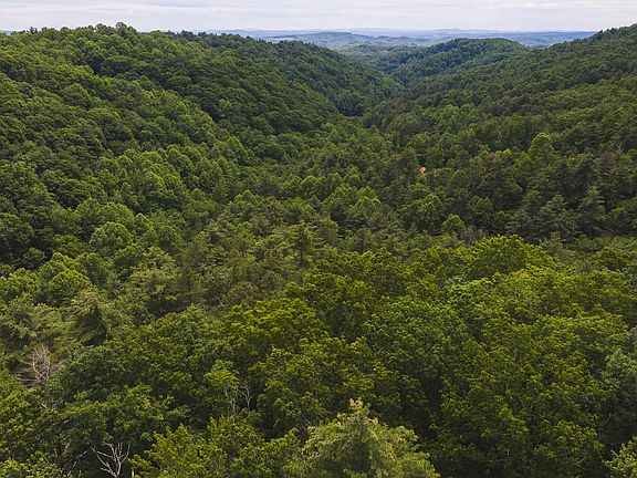 5th image of Tbd Macks Mountain Rd