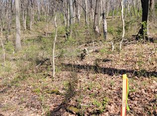 0 Mason Mill Rd NE #17 & 18, Roanoke, VA 24012