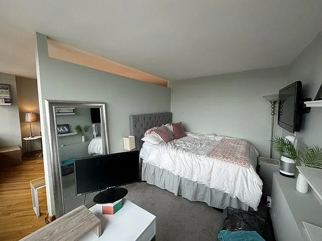 1560 N Sandburg Ter #3809 — Photo 11