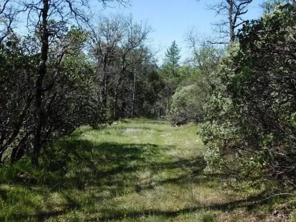 Christy Cr Christy Creek Ln, Shingletown, CA 96088