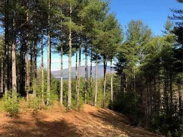 Hunt Camp Dr #59, Nebo, NC 28761