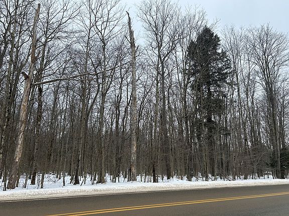 3rd image of 0 Cherry Springs Rd