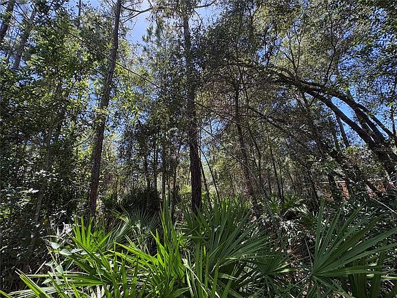 5th image of 394 N FLORENE POINT LOT 17