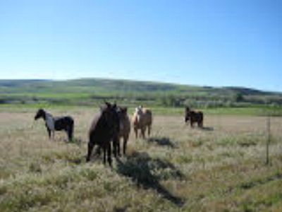 Tbd N 1200 E, Shelley, ID, 83274