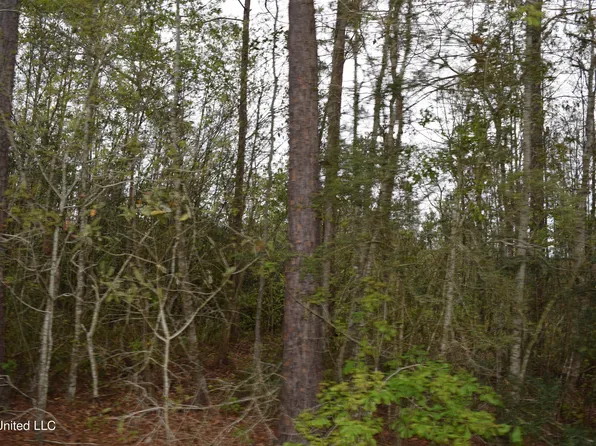 Gaylord Rd, Saucier, MS 39574