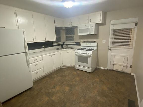 kitchn and back door with pet door