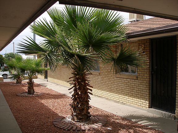 5th image of 4013 Nashville Ave APT 6