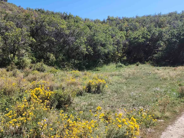 Eagle Feather Trl, Crawford, CO 81415