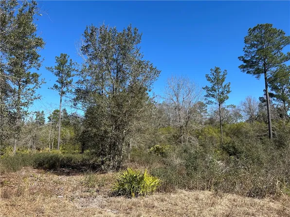 TRACT Bartram Loop Lot 59, Waynesville, GA 31566