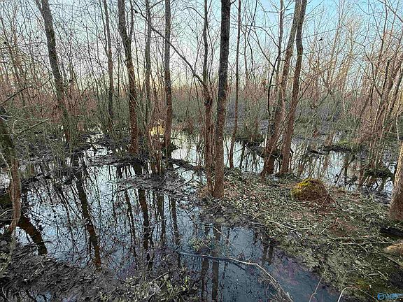4th image of County Road 19