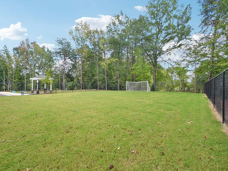 Dog Park AND Activity field
