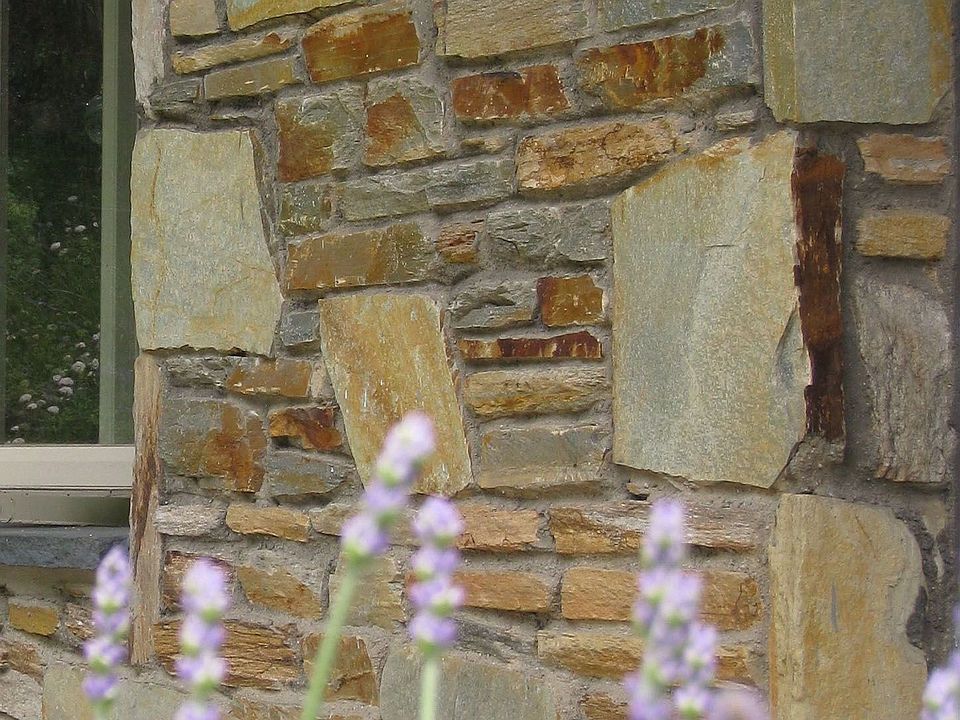Lavender at the front walk