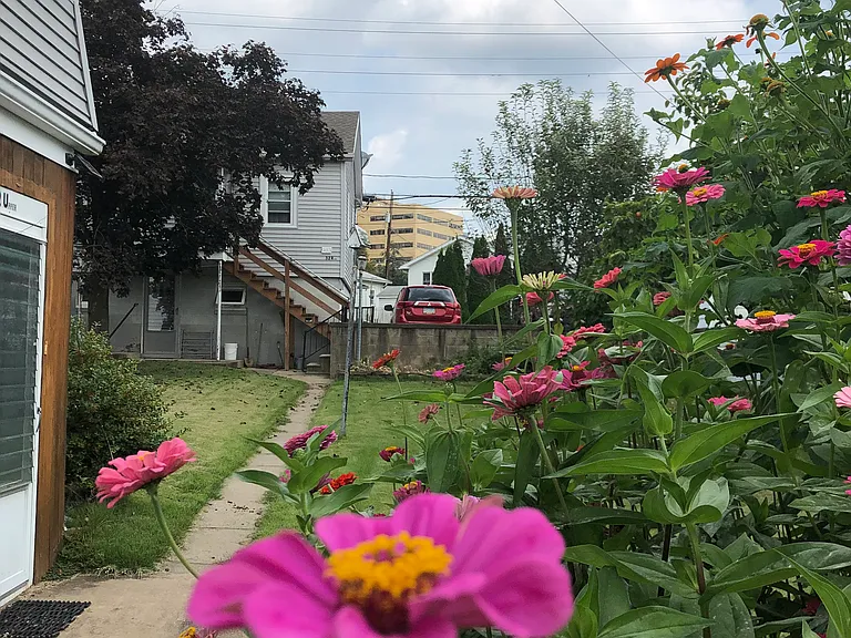 982 Cherry St #101 — Photo 13