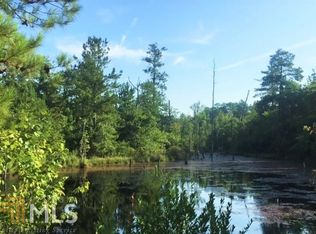 1355 Bethlehem Rd, Mauk, GA 31058