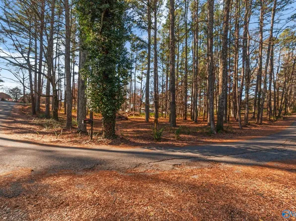 Lots 12 And 13 Denbo Cir, Harvest, AL 35749