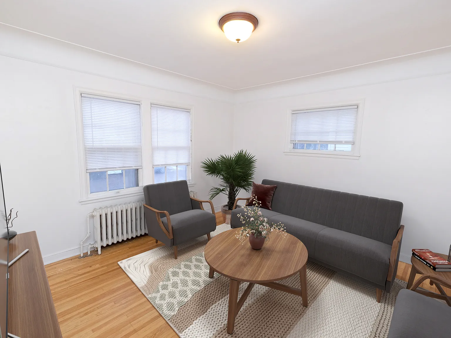 Virginia Flats — Photo 2