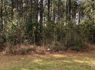 17324 Brannon Rd, Citronelle, AL 36522