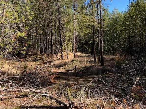 Nka Flintlock Way, Blanchard, ID 83804