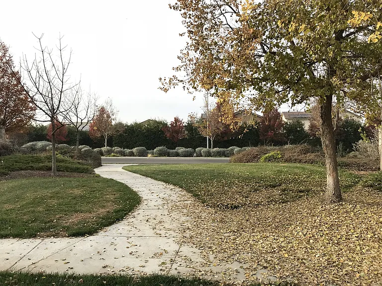 1235 Bluegrass Ct — Photo 37