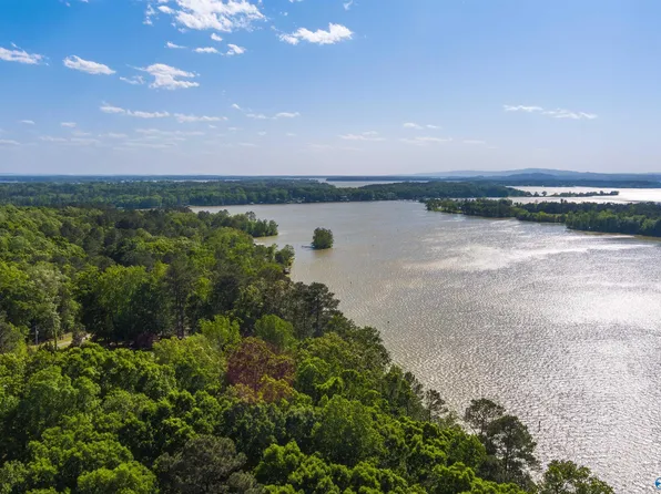 973 County Road 251, Cedar Bluff, AL 35959