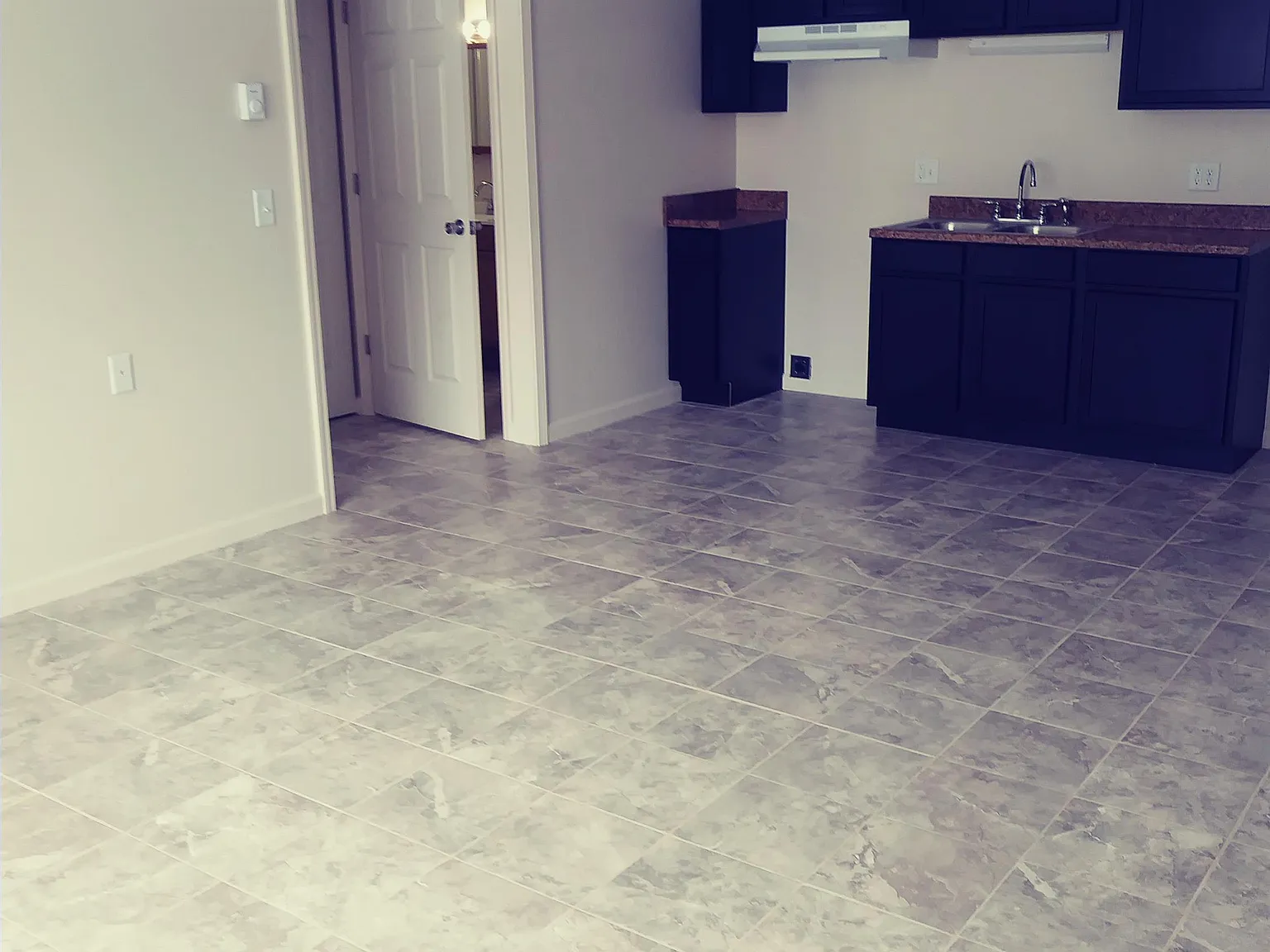 Firelands Village Apartments - A21 — Photo 4