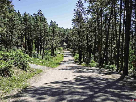 5th image of 257 Pine Cone Dr