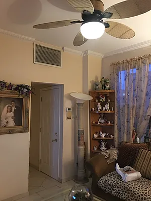 Rented by Amorelli Realty | media 20